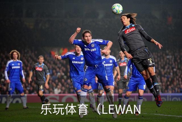 乐玩体育（LEWAN公司介绍图